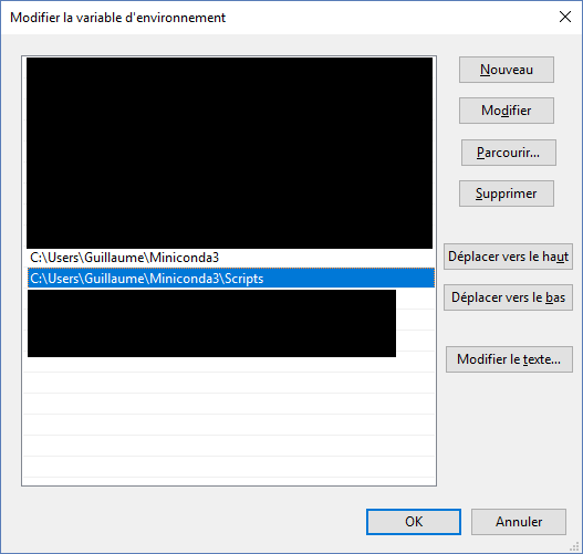 Windows environement variables